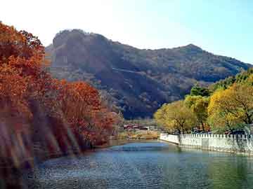 澳门二四六天天彩图库，河南蒙古族自治seo建站